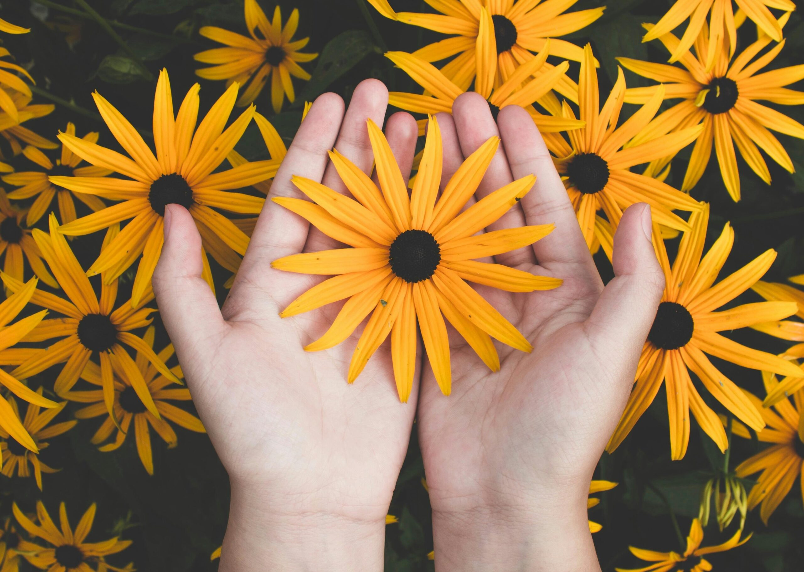 Kädet, joissa kukka